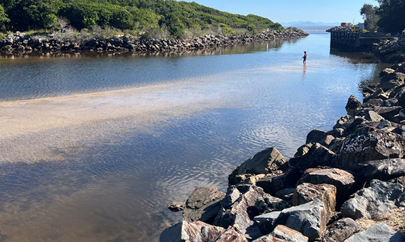 NSW Department of Climate Change, Energy, the Environment and Water: Extension to feedback period for change plan
