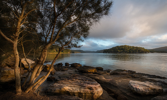 Department of Climate Change, Energy, the Environment and Water: Meeting for members in the Water Group