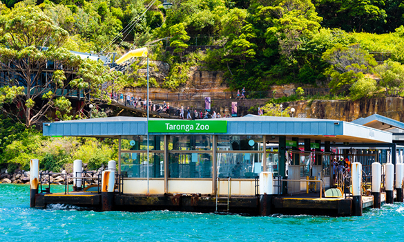 Taronga Conservation Society Australia: Meeting for members in Sydney and Dubbo