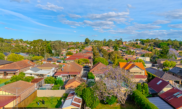 Homes NSW Departmental Committee meeting update
