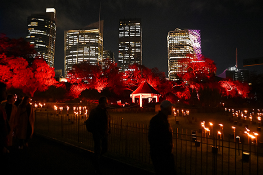 Royal Botanic Gardens: Functional Review update