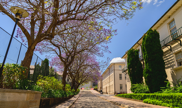 Join us for lunch: Enterprise Bargaining update for members at the University of Sydney